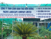 Dịch vụ chăm sóc cây cảnh, cây xanh tại TP Thủ Dầu Một , Bình Dương .